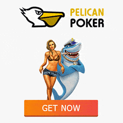 Pelican Casino Banner mit Bonus-Highlights