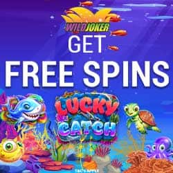 Site with information about casino necessary attention